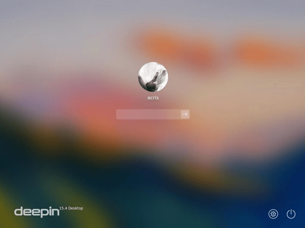 Login Screen